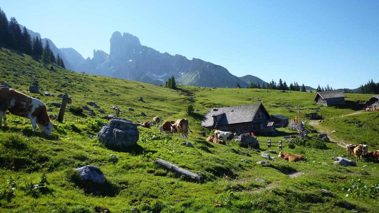 Ferienhaus Hummelbrunner Bad Goisern Luaran gambar
